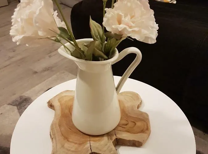 Apartamento La Fleur D Avec Son Parking *