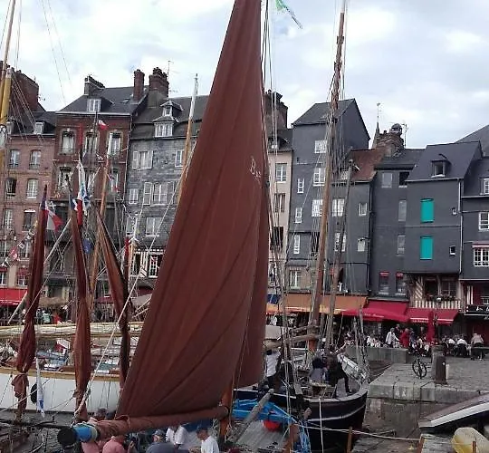 La Fleur D Avec Son Parking Apartman *